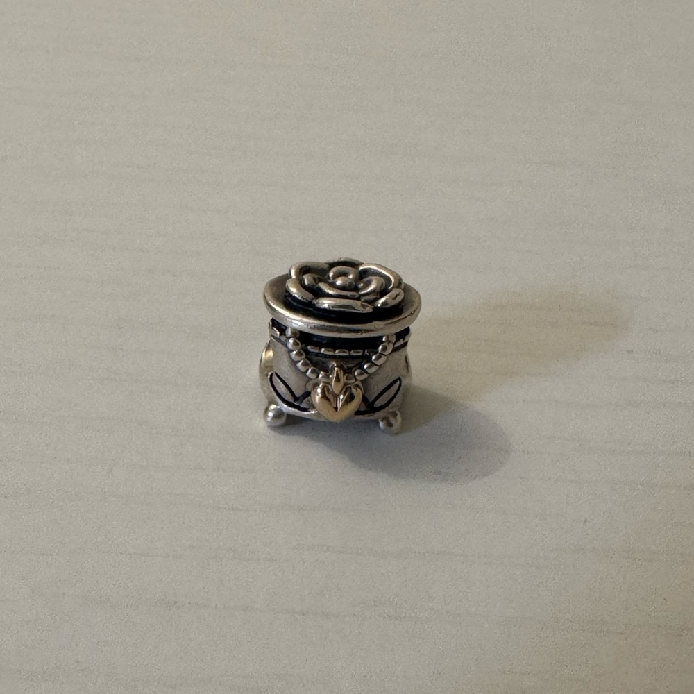 Pandora retired two toned charm
